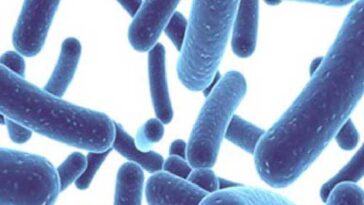 Do green powders help with bloating?