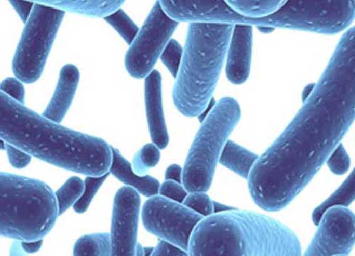 Do green powders help with bloating?