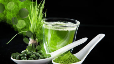 Do green superfood powders help you lose weight?