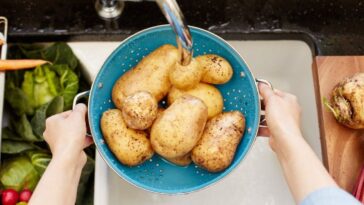 Do grits make you gain weight?