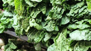 Do leafy greens make your poop dark?