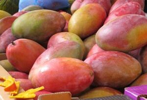 Do mangoes cause gas?