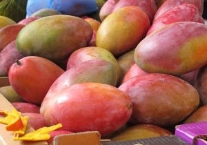Do mangoes cause gas?