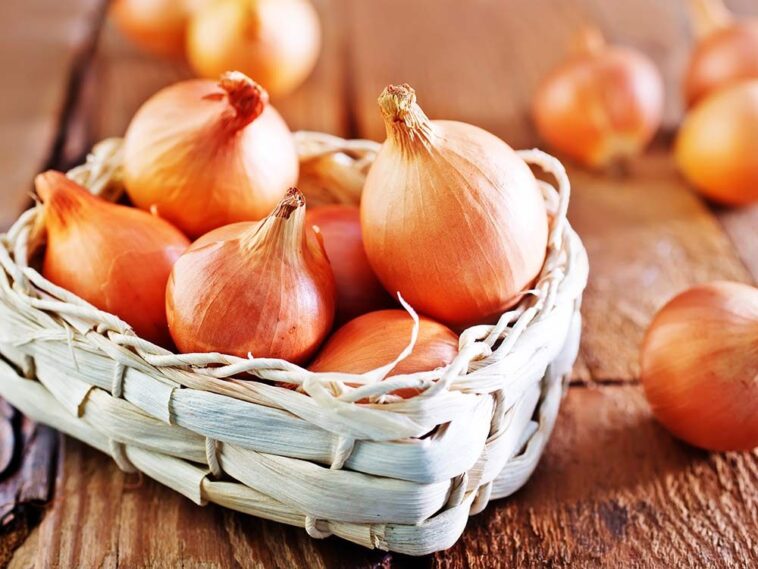 Do onions last longer in the fridge or on the counter?