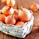 Do onions last longer in the fridge or on the counter?