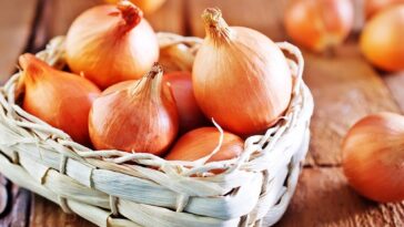 Do onions last longer in the fridge or on the counter?