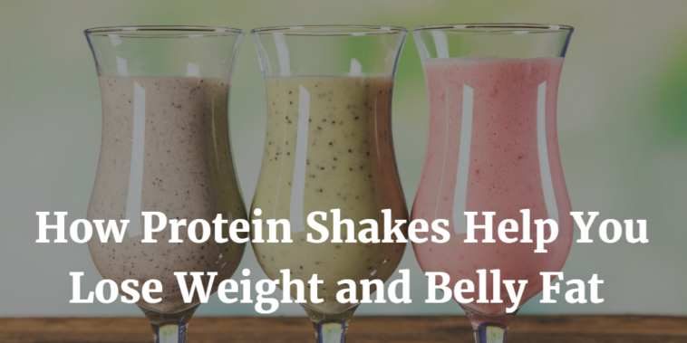 Do protein shakes help you lose belly fat?