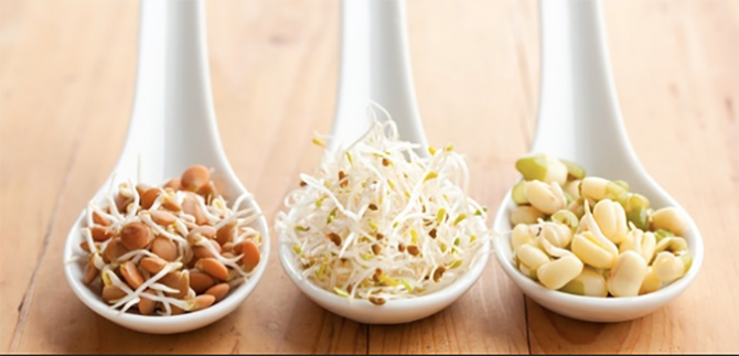 Do sprouted grains cause inflammation?