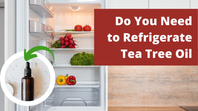 Do you have to refrigerate tea?