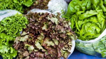 Do you need to wash bagged salad?