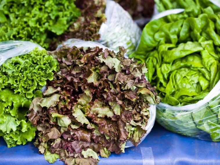 Do you need to wash bagged salad?