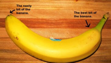 Do you open a banana from the top or bottom?