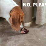 Do you poop more when you eat clean?