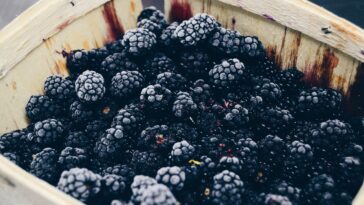 Do you wash frozen berries?