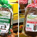 Does Aldi have spring mix?