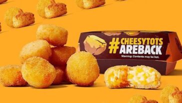 Does Burger King have cheesy tots 2020?