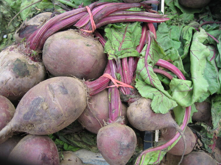 Does Costco have beetroot?