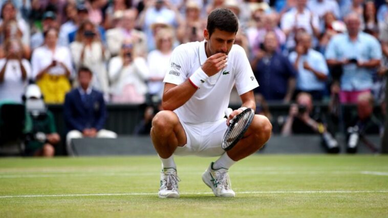 Does Djokovic eat rice?