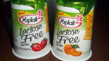Does Fage make lactose free yogurt?