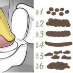 Does Fiber One help you poop?