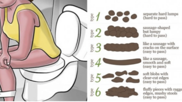 Does Fiber One help you poop?