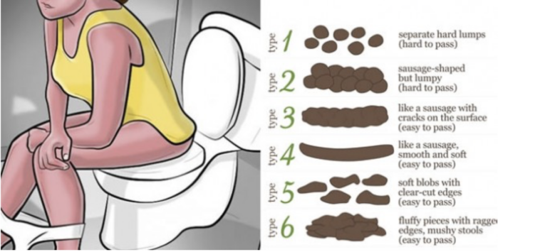 Does Fiber One help you poop?