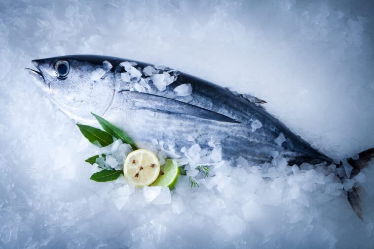 Does Kirkland albacore tuna have mercury?