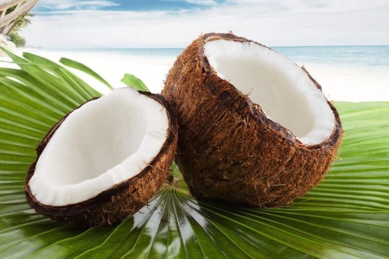 Does Nutpod taste coconut?