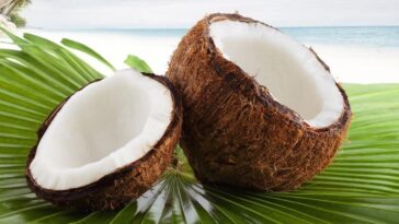 Does Nutpod taste coconut?