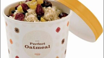 Does Starbucks oatmeal have protein?