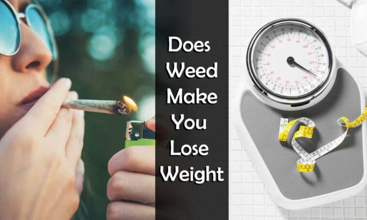 Does Tylenol make you lose your appetite?