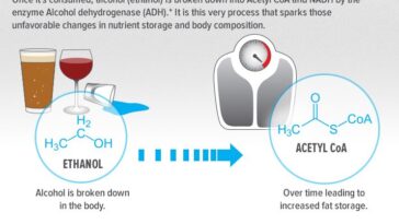 Does alcohol break down to sugar?