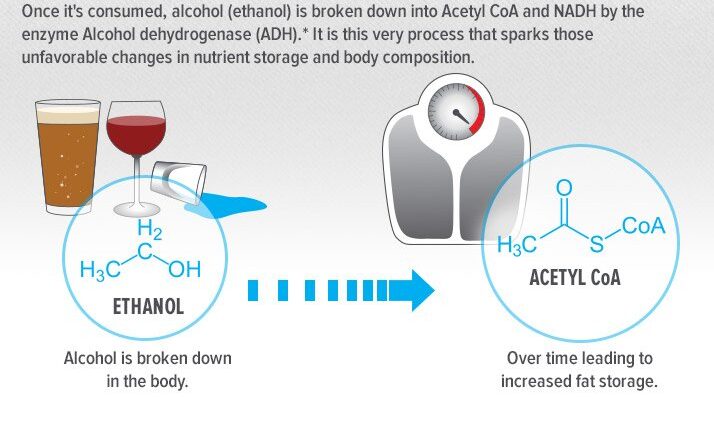 Does alcohol break down to sugar?