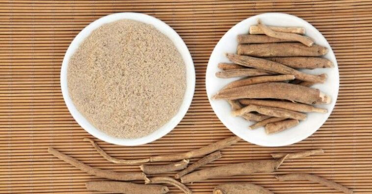 Does ashwagandha increase size?