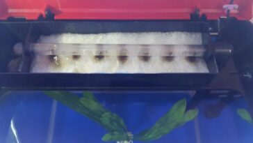 Does bacteria grow on cast iron?