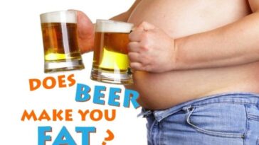 Does beer cause belly fat?
