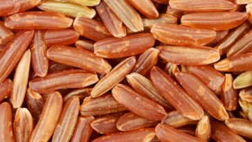 Does brown rice make you gain weight?