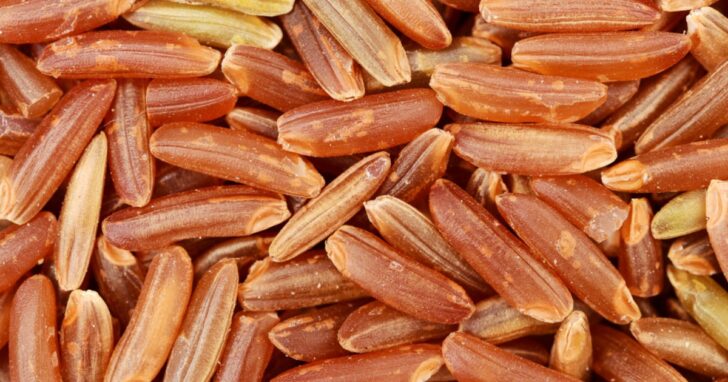 Does brown rice make you gain weight?