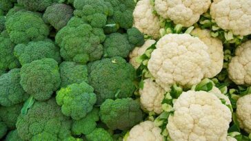 Does cauliflower make you fart?