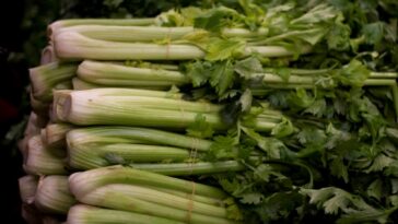 Does celery affect testosterone?