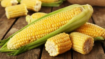 Does corn cause inflammation?
