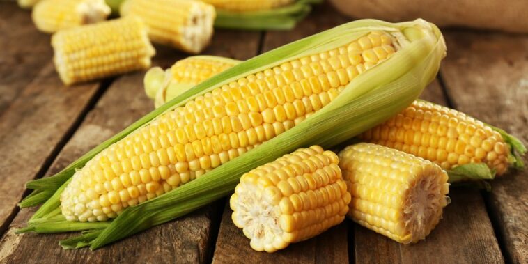 Does corn cause inflammation?