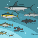 Does fish skin contain mercury?