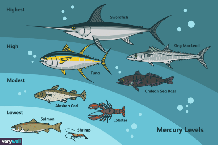Does fish skin contain mercury?