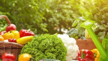 Does ketosis make you jittery?