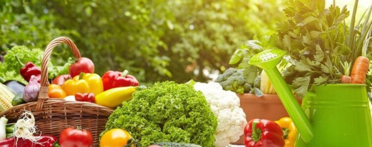 Does ketosis make you jittery?