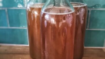 Does kombucha have side effects?