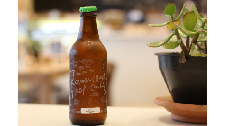 Does kombucha help lose belly fat?