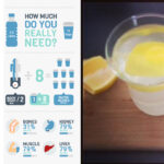 Does magnesium reduce water weight?