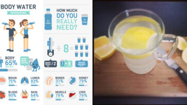 Does magnesium reduce water weight?